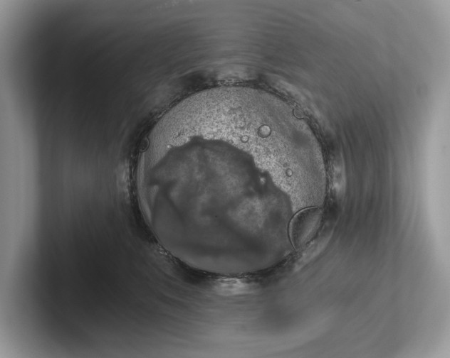 X0000101460519200807211336