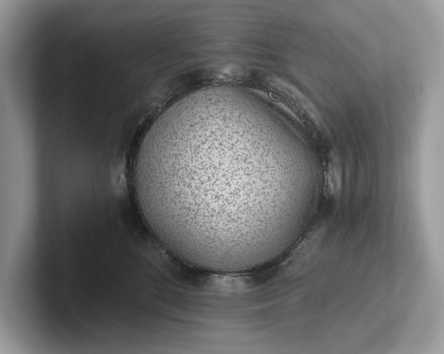 X0000101460520200807211336