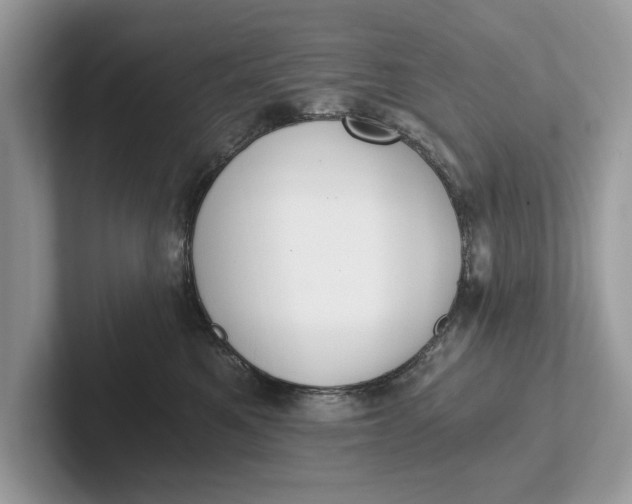 X0000101460521200807211336