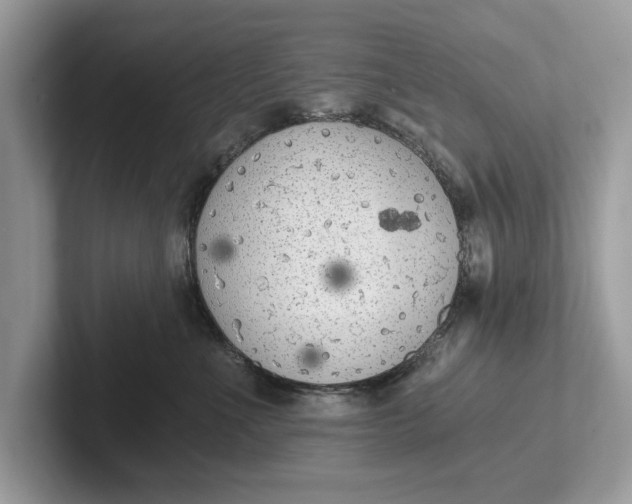 X0000101460523200807211336