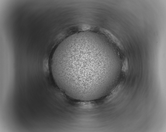 X0000101460524200807211336