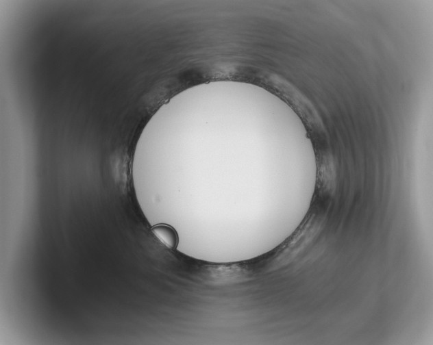 X0000101460525200807211336