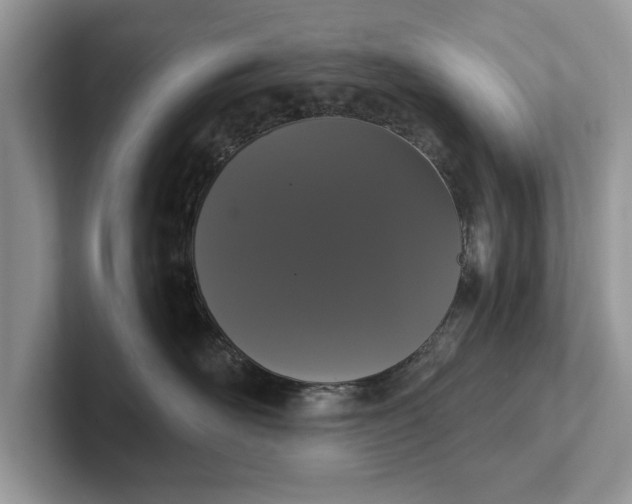 X0000101460526200807211336