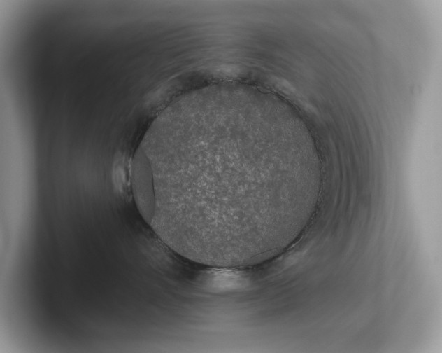 X0000101460528200807211336