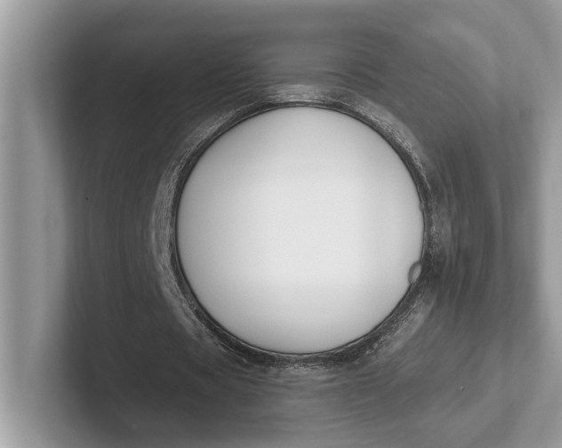 X0000101460529200807211335