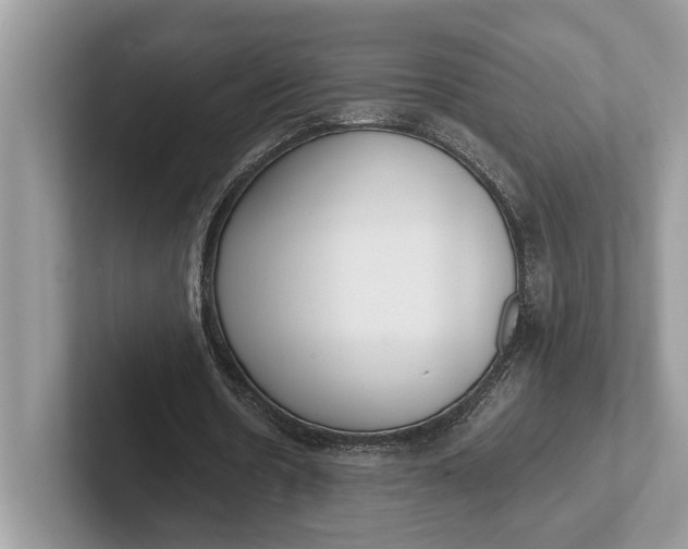 X0000101460530200807211335