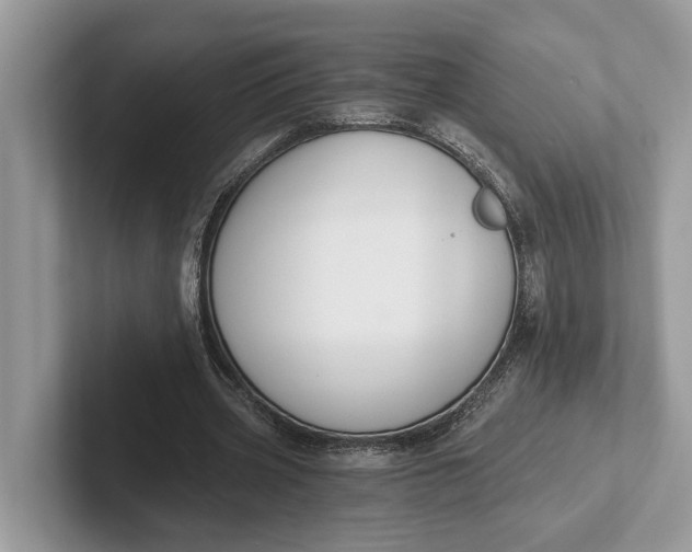 X0000101460533200807211335