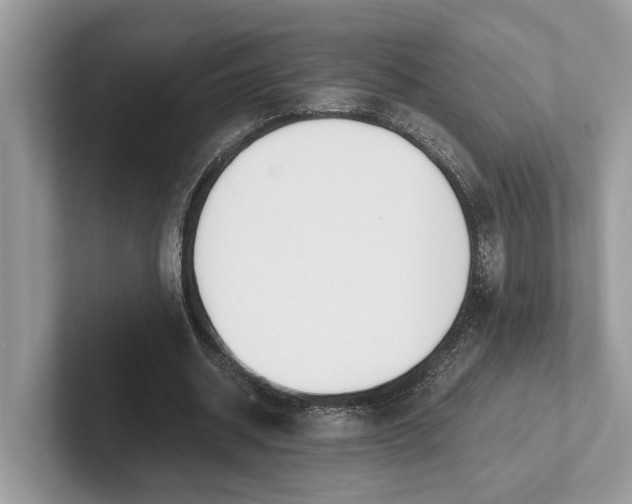 X0000101460534200807211335