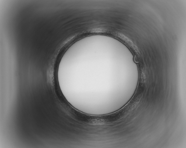 X0000101460535200807211335