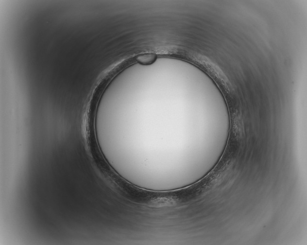 X0000101460536200807211335