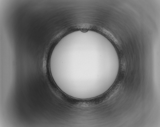 X0000101460538200807211335