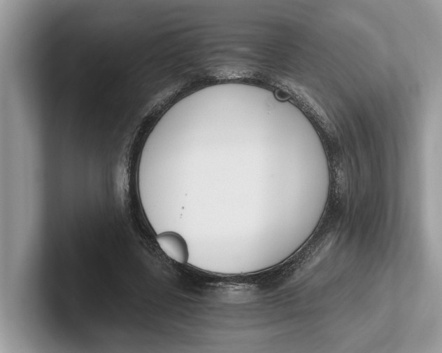 X0000101460539200807211335