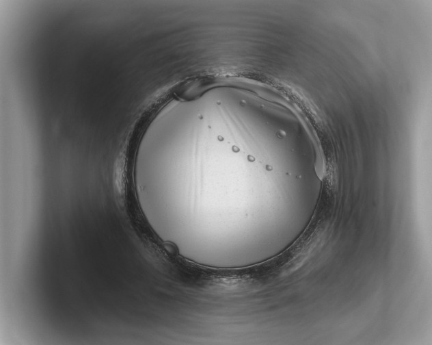 X0000101460540200807211335