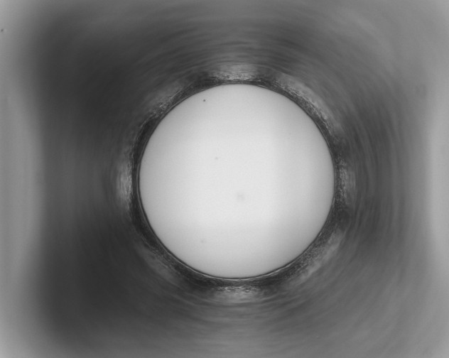 X0000101460541200807211335