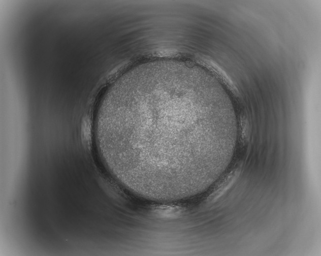 X0000101460542200807211335