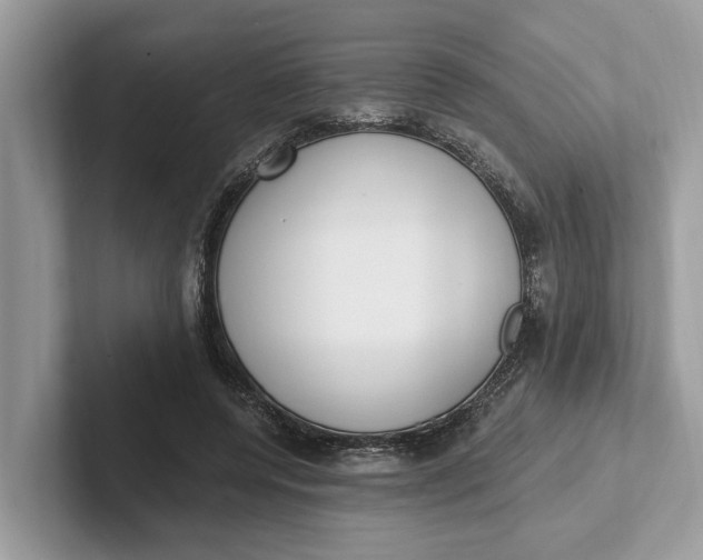 X0000101460544200807211335