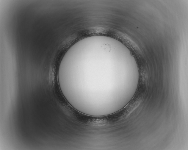 X0000101460546200807211335