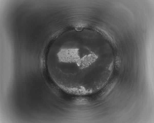 X0000101460547200807211335