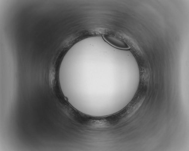 X0000101460548200807211335