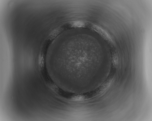 X0000101460551200807211335