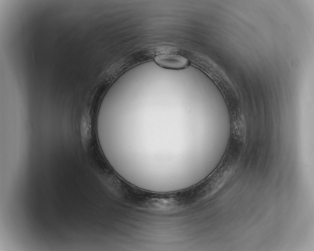 X0000101460552200807211335