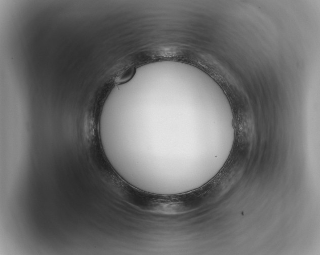 X0000101460555200807211335