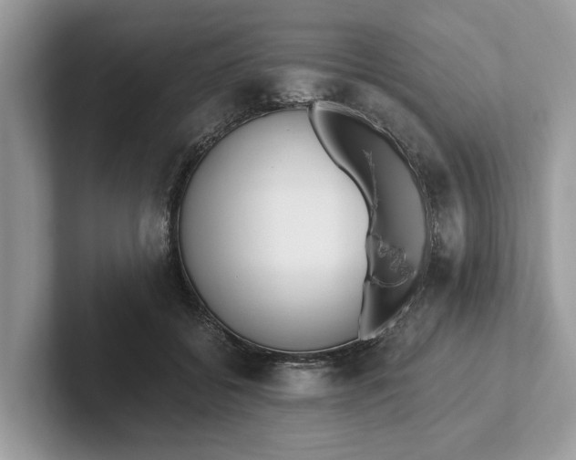 X0000101460556200807211335