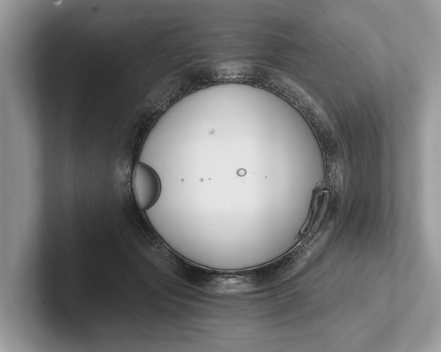 X0000101460557200807211335