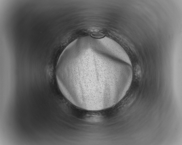 X0000101460559200807211335