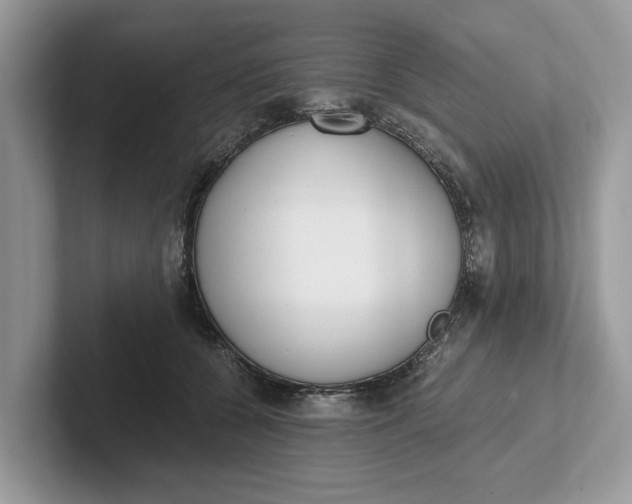 X0000101460560200807211335