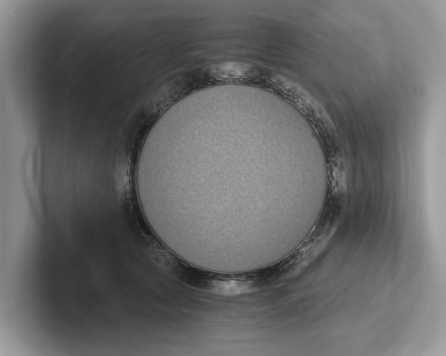 X0000101460561200807211335