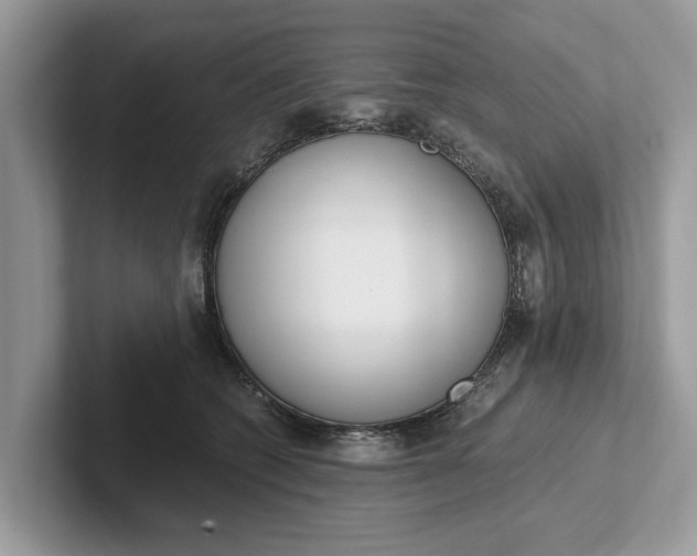 X0000101460562200807211335