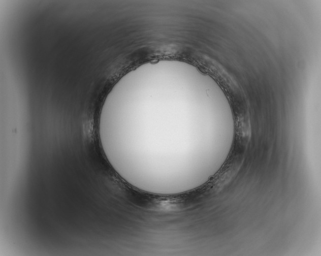 X0000101460564200807211336