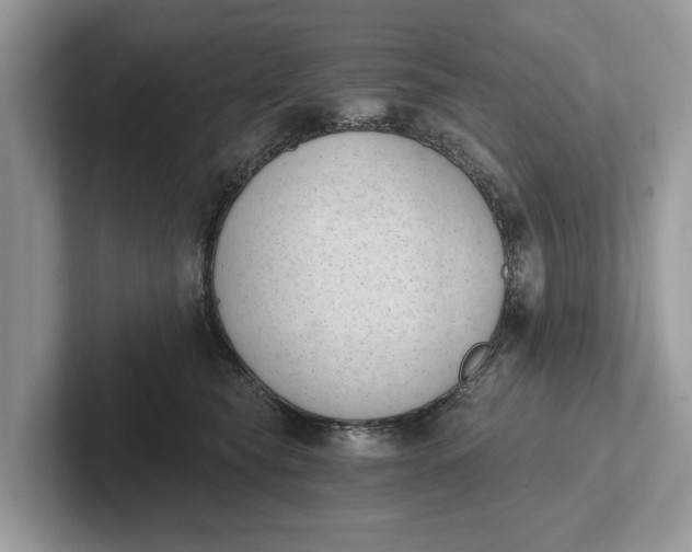 X0000101460565200807211336