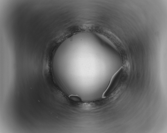 X0000101460566200807211336