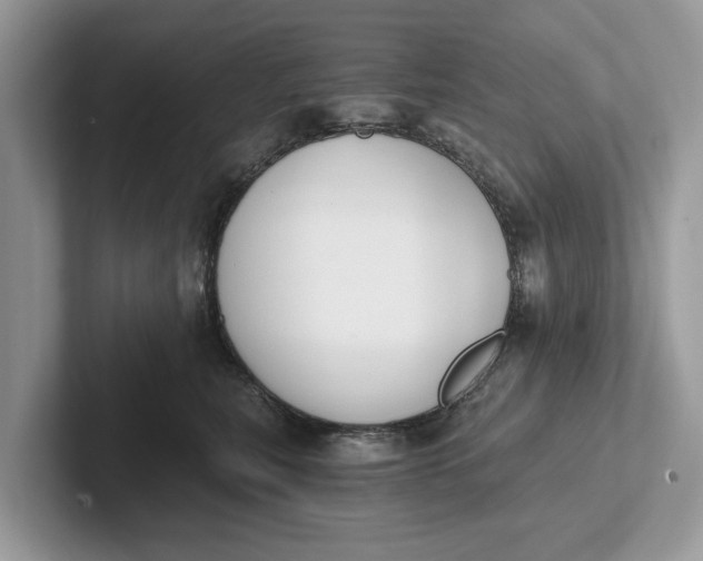 X0000101460567200807211336