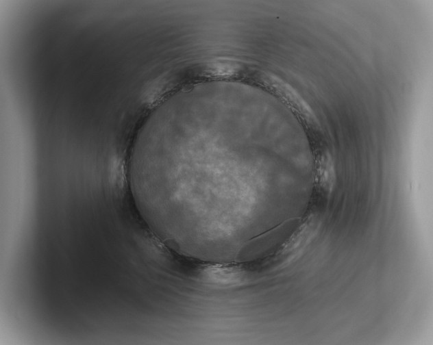 X0000101460568200807211336