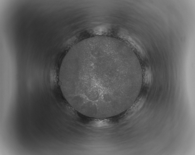 X0000101460569200807211336