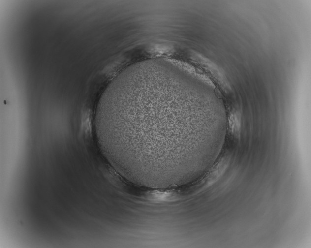 X0000101460570200807211336