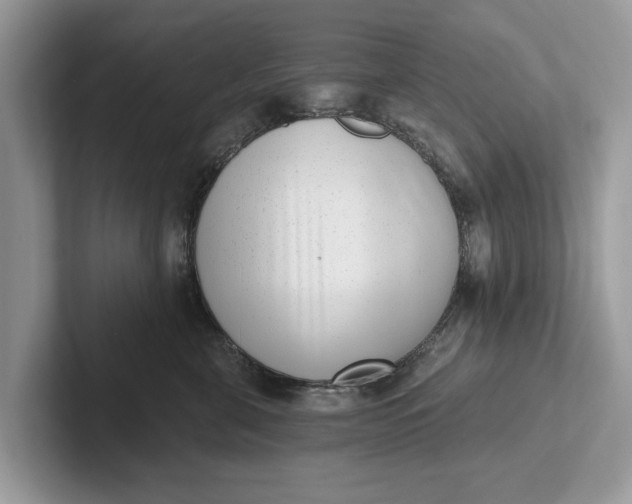 X0000101460571200807211336