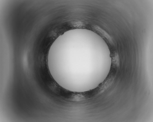 X0000101460572200807211336