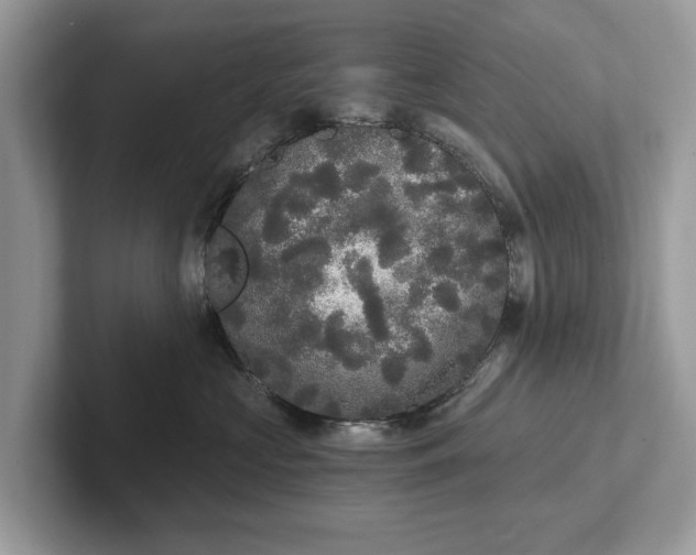 X0000101460573200807211336