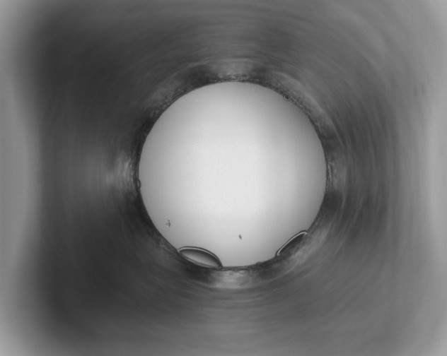 X0000101460575200807211336