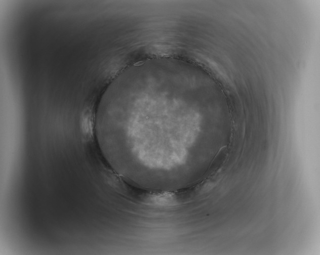 X0000101460576200807211336