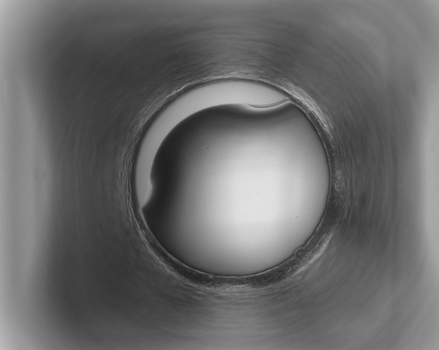 X0000101460577200807211335