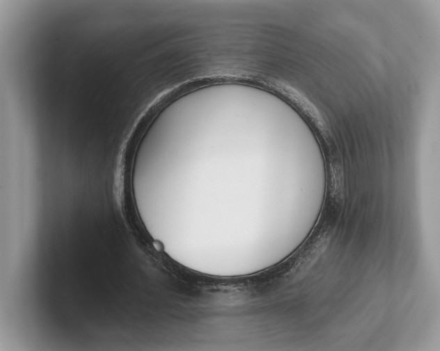 X0000101460580200807211335