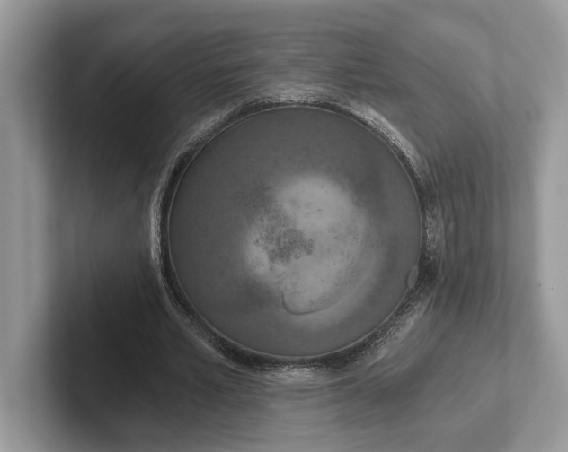 X0000101460581200807211335