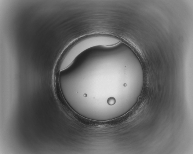 X0000101460584200807211335