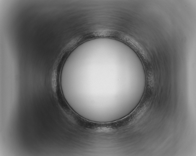 X0000101460586200807211335