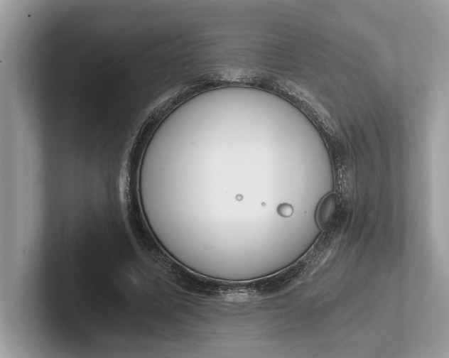 X0000101460587200807211335